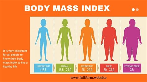 BMI Full Form And Other Important Details About BMI
