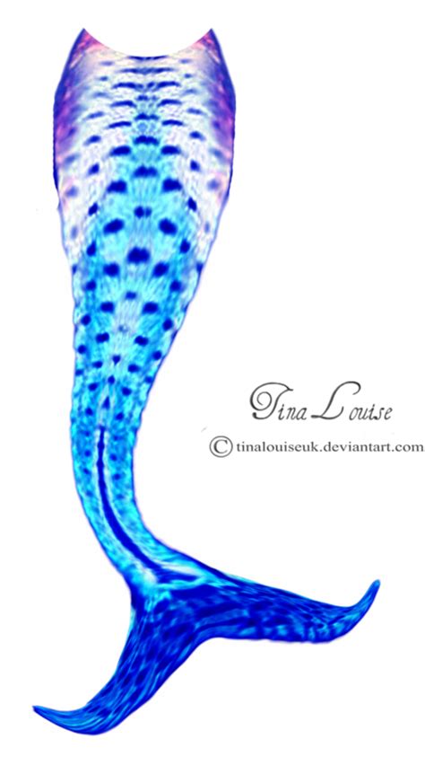 Mermaid Tail Clipart To Explore More Similar Hd Image On Pngitem