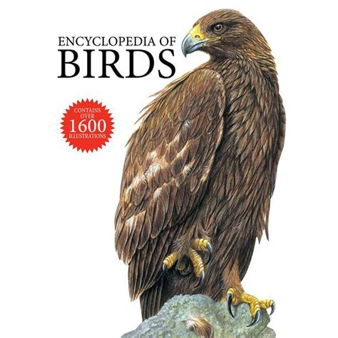 Encyclopedia Of Birds Hardcover