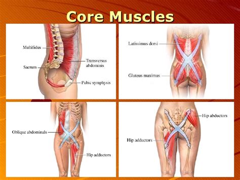 Core Strengthening Exercises For Parkinsons Disease Part Of