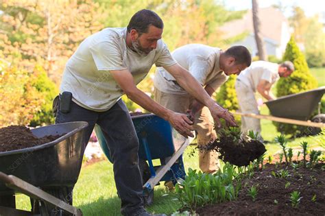 Landscapers At Work In Garden Stock Image F0177891 Science Photo