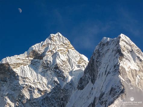 Mount Everest Nepal Capturing The Wild