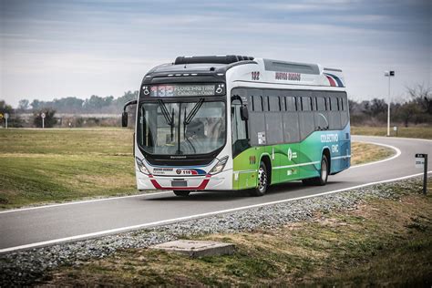 Scania Buses