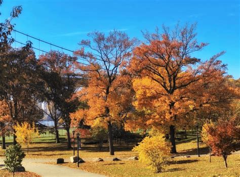 The 10 Best Spots For Leaf Peeping In And Around Nyc