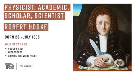 Learn about elasticity and how to determine the force exerted by a spring. Robert Hooke: Hooke's Law