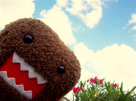 Domo Wallpapers Cool Collections Of Cute Domo Wallpapers For Desktop
