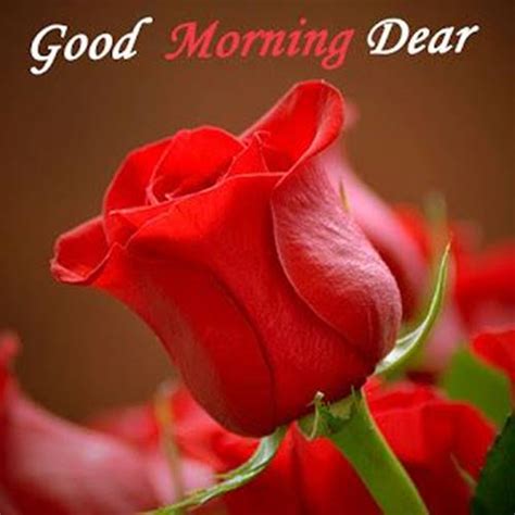 Romantic Good Morning Love Messages Morning Wishes Daily Funny