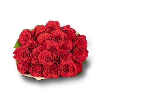 Es handelt sich bei der abbildung lediglich um einen musterstrauß. Rosenstrauß Rosen in Rot 25 Stiele | Blume2000.de