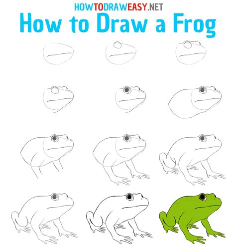 Simple Frog Face Drawing Aesthetic Drawing