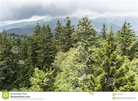 Fog Rolls Over The Mountains Of The Smokies Stock Photo Image Of