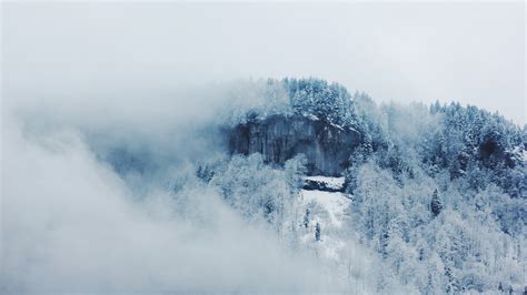 Wallpaper Landscape Snow Winter Mist Frost Alps Freezing Cloud