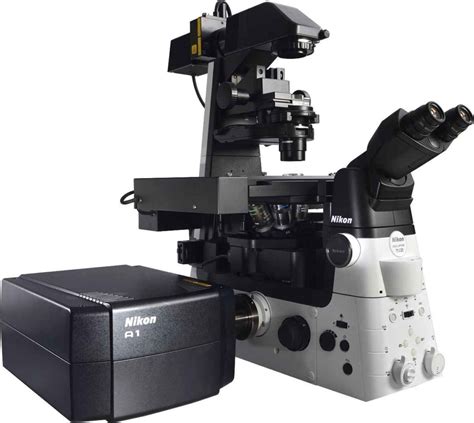 Confocal Microscopes Nikon Microscopy