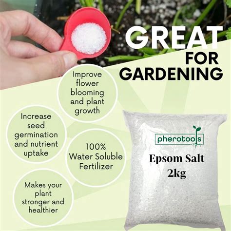 Pherotools 2kg Epsom Salt Organic Fertilizer Baja Organikmagnesium