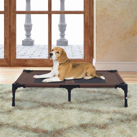 7 Best Elevated Dog Beds Uk Barkforce