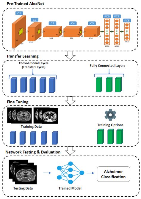 Image Classification With Transfer Learning And Pytorch Laptrinhx Riset