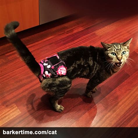 Barkertime Pink Floral On Black Waterproof Premium Cat Diaper Made In