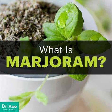 You can use oregano as a marjoram substitute in all forms of soups, stews, salads, you name it. substitute for marjoram essential oil