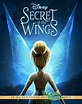 Secret of the Wings (2012)