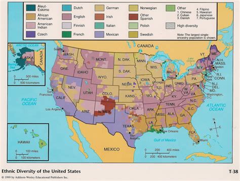 Vianpe Cultural Diversity In United States Of America