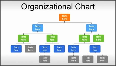 8 Blank Organizational Chart Sampletemplatess Sampletemplatess Images