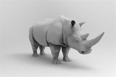Rhinoceros 3d Model Turbosquid 1409798
