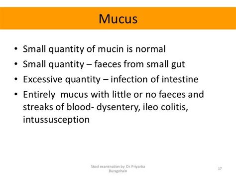 15 Causes Of Mucus In A Dog S Stool Pethelpful Zohal