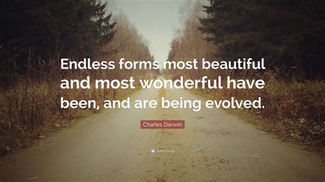 Https://tommynaija.com/quote/endless Forms Most Beautiful Quote