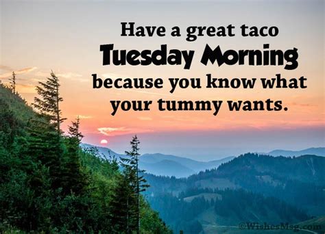 Good Morning Tuesday Happy Tuesday Images Wishes And Pictures The State