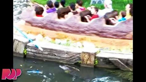 Disney World Workers Find Alligator By Splash Mountain Youtube