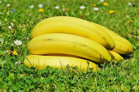 Free Photo Bananas Fruits Fruit Food Yellow Healthy Nature Hippopx