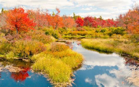 The Best Places To See Fall Foliage In The United States