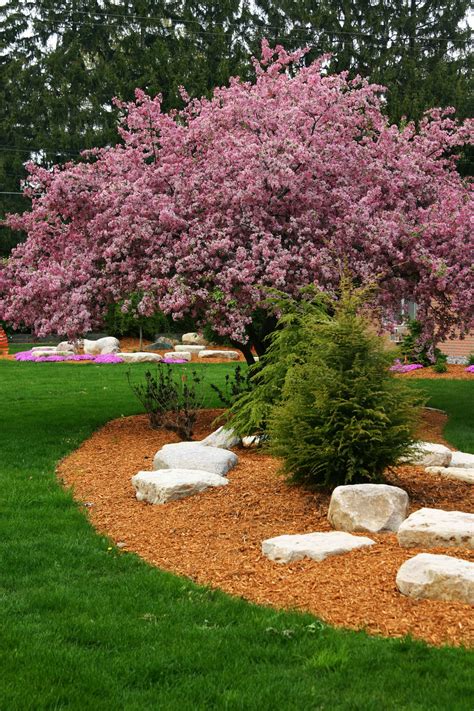 Flower Garden Layout Design Ideas Thatll Make Your