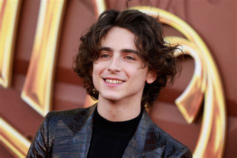 Timothee Chalamet Wins Title Of Most Handsome Man 2023 Overtaking