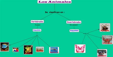 Mapa Conceptual De Los Animales Images And Photos Finder