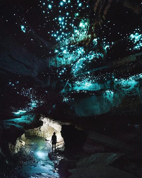 Glow Worm Caves In Waitomo Nz Arachnocampa Hd Phone Wallpaper Pxfuel