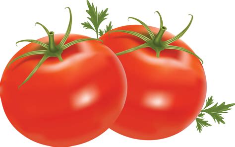 Clipart Tomato Clip Art Library