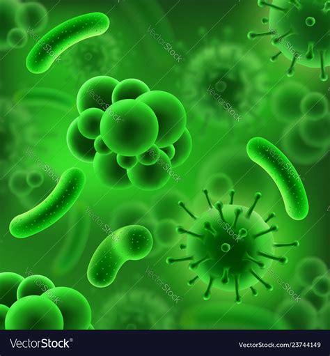 Germ And Bacteria Or Virus Microorganisms Vector Image