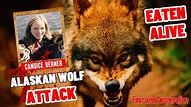 The Tragic Story of Candice Berner: A Teacher's Fatal Wolf Attack in ...