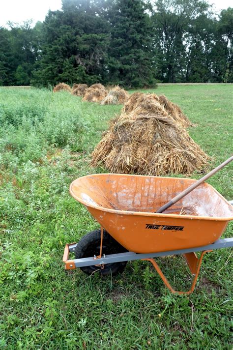 Alternative Roots Farm Barley Harvest July 27th