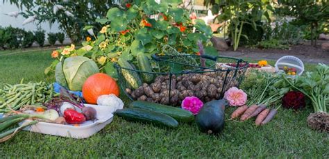 Fruits And Vegetables You Can Grow In Your Own Garden Survivopedia