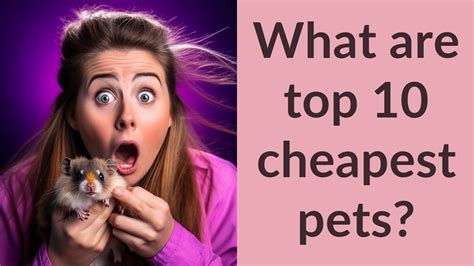 What Are Top 10 Cheapest Pets Youtube