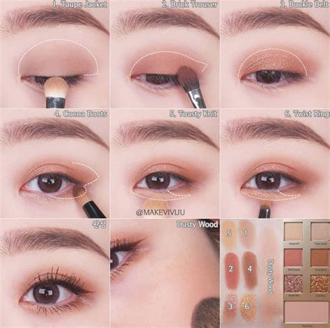 Make Up Eyeshadow Steps Korean