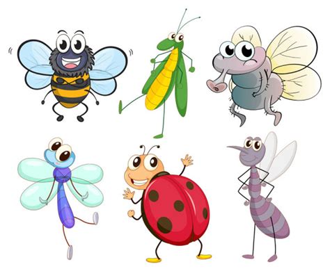 Free Cartoon Insects Download Free Cartoon Insects Png Images Free
