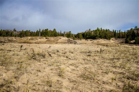 Great Lakes Sand Dune Ecosystem Landscape Stock Photo Image Of Lake