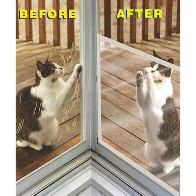 It's essentially impossible to train a cat to stop scratching screens, particularly if more than one screen is involved. Protecting a Screen Door from Cats | Screen door protector ...