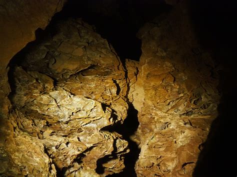 Wind Cave National Park The Underbelly Of South Dakota Tiny Travelogue