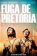 Fuga de Pretória (2020) - Pôsteres — The Movie Database (TMDB)