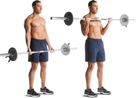 10 Biceps And Triceps Workout For Stronger And Muscular Arms