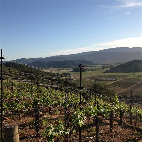 Ram Wine Country Tours Yountville All You Need To Know Before You Go