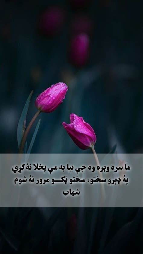 Pin By Malgaray ستا ملګری On Pukhto پښتو ـ Pashto Quotes Pashto